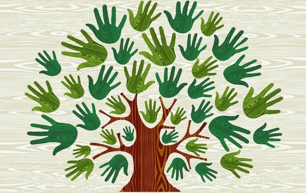 Тематическая беседа «Мир-глазами дерева»