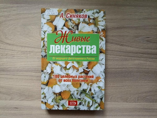 Программа «Мы здоровью скажем да!»