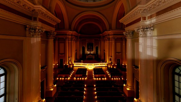 Стюарт Орган