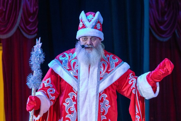 Новогодняя котовасия