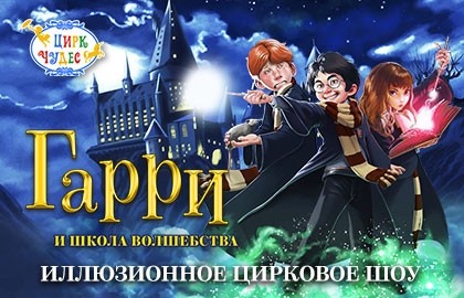 Гарри Поттер. Новый год в Хогвартсе