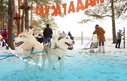 С хаски по дороге в сказку