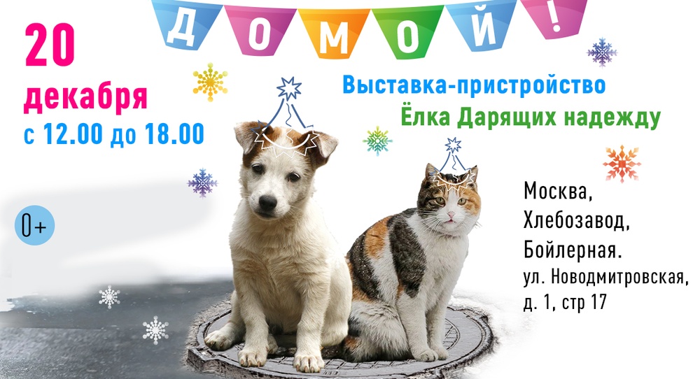 Ёлка Дарящих надежду_2025