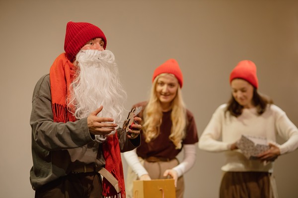 Домашняя ёлка. Новогодние истории Бродячего театра