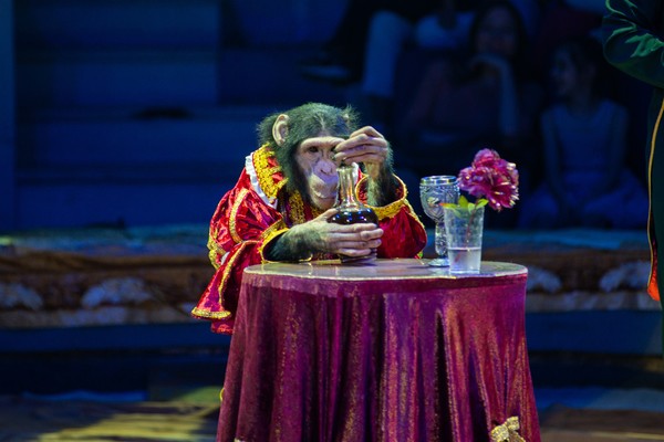 Цирк в гостях у сказки