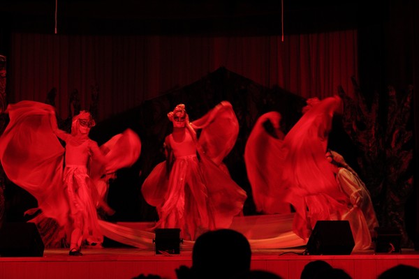 Музыкальный спектакль «Дикие лебеди»