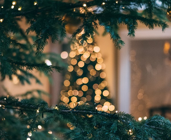 От звёздочки до звезды: история новогоднего праздника