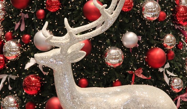 Серебряное копытце