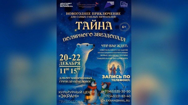 Спектакль «Тайна полярного звездопада»