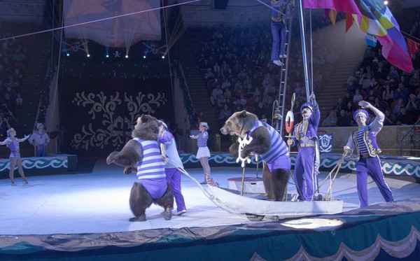 Новогодняя тайна пирата