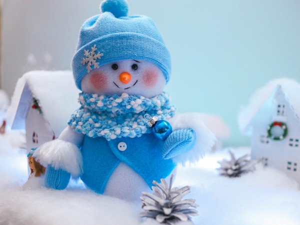 Программа «Снеговичок»