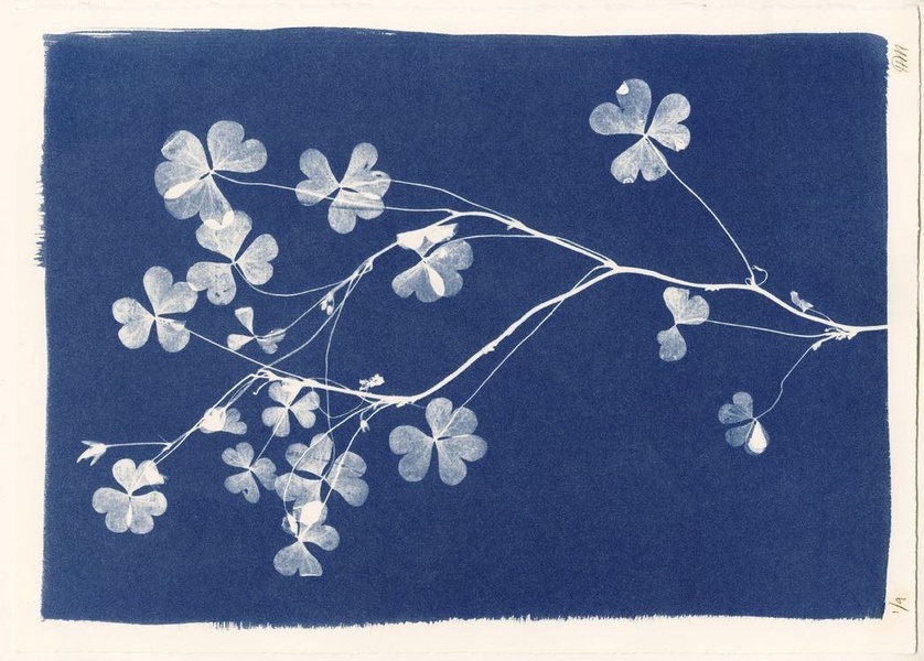 Мастер-класс «Лазурные узоры»