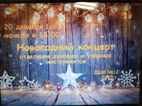 Новогодний концерт обучающихся духовых и ударных инструментов