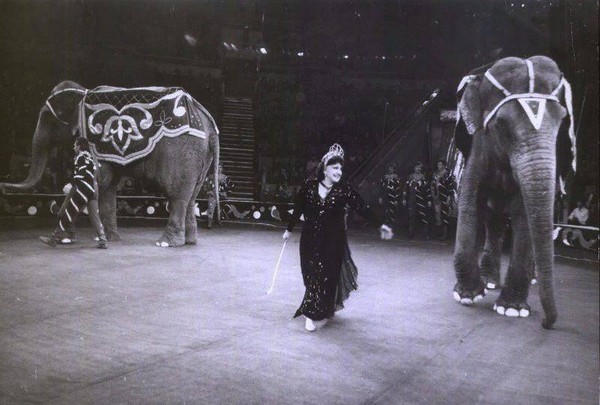 Тематическая беседа «Дрессировщики российского цирка»