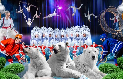 Цирк на льду «Айсберг»