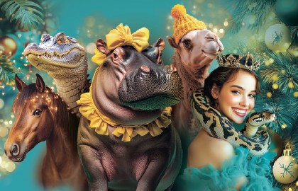 Новогоднее Тропик-шоу