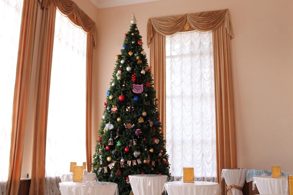 Губернаторская елка