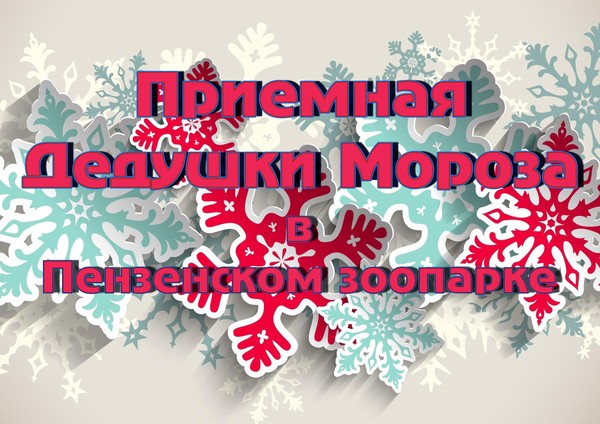 Приемная «Дедушки Мороза»