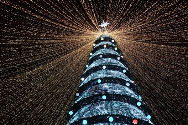 Открытие ёлок в парках Казани