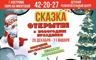 Новогодняя программа