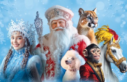 Елка в цирке