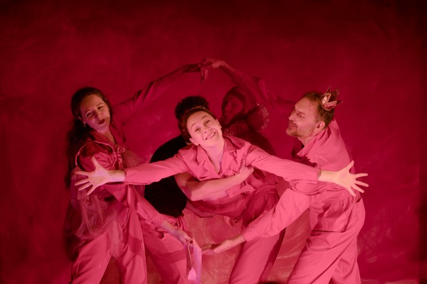 Принцесса против