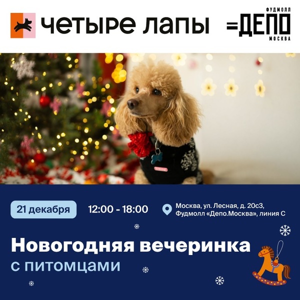 Новогодняя костюмированная пет-вечеринка