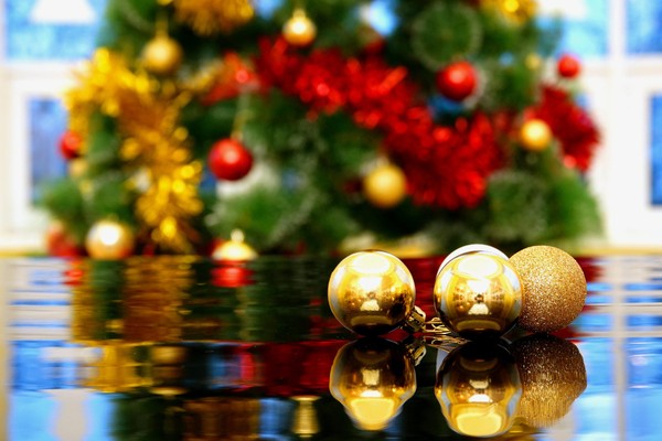 «Новогодние каникулы с Национальной библиотекой»