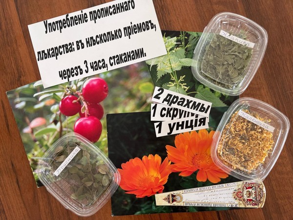 Музейное занятие «Искусство быть аптекарем»