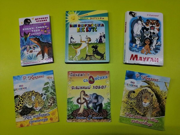 Выставка «Открывая книгу джунглей»