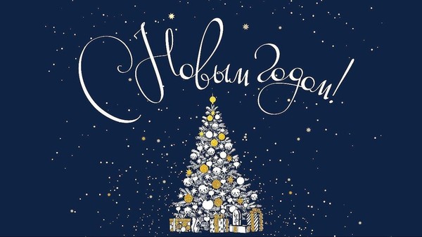 «В гости к нам идет Новый год»