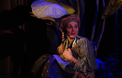 Гадкий утенок