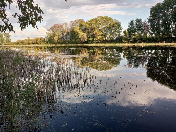 Программа «Познай свой край»