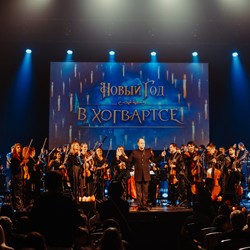 Новый год в Хогвартсе