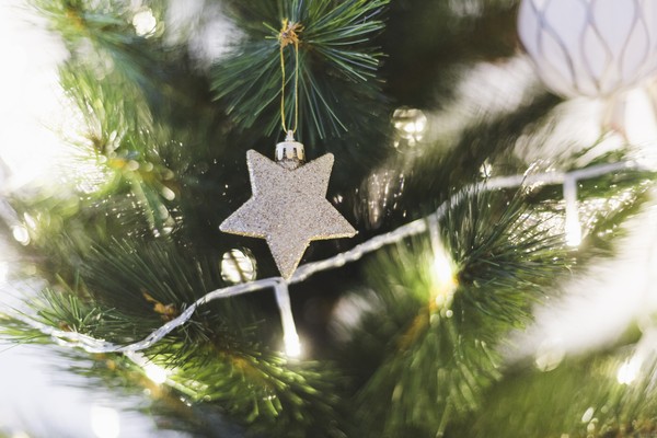 Сказочное новогодие в Прикамье. Проказы Шуралешки