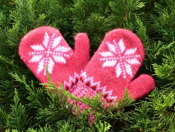 Познавательно игровой час «День веселой рукавички»