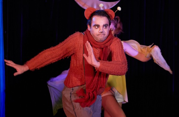 Спектакль «Винни Пух идет за елкой. Елки против»