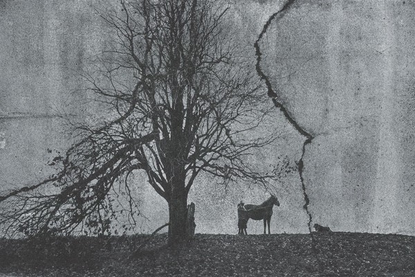 Выставка «Текстура жизни»