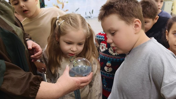 Новый год для групп школьников «Чары снежной королевы»