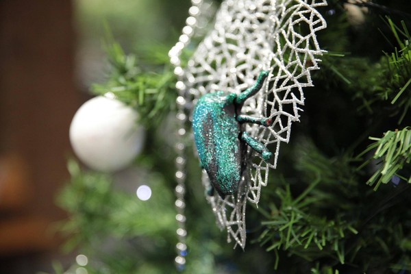 Выставка «сНежность»