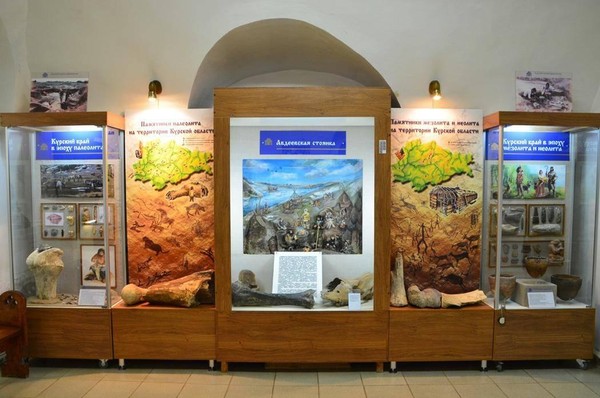 Обзорная экскурсия «История Курского края от каменного века до XVIII века»