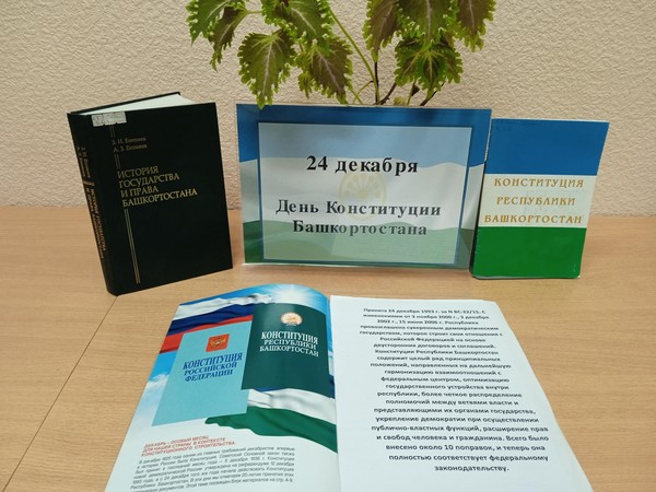 Открытый просмотр литературы «Главный закон нашей Республики»