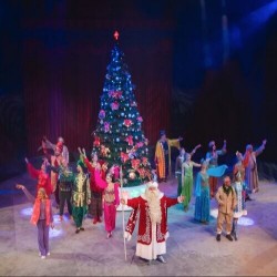 Полёт в страну мечты