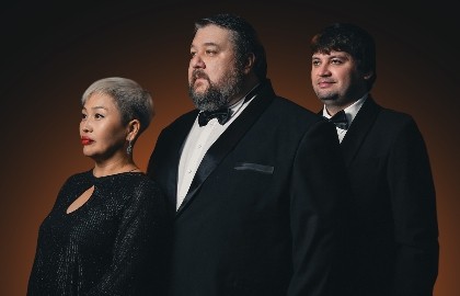 Новогодний огонек