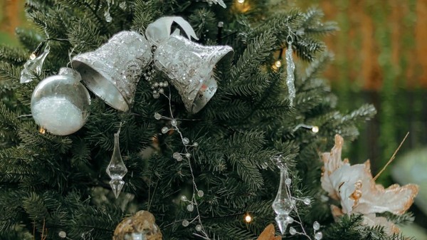 Концерт «Новогоднее настроение»