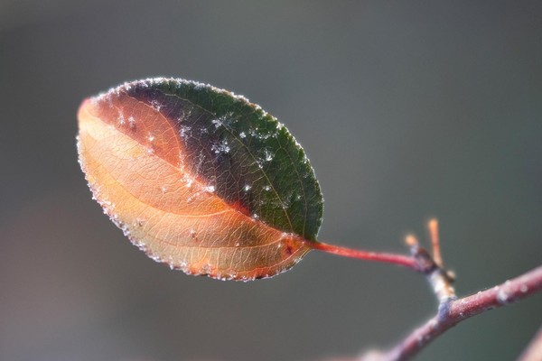 Фотовыставка «Времена года»