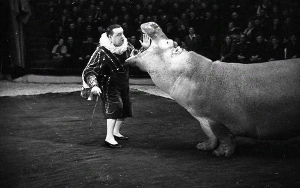 Тематическая беседа «Любимые животные В. Г. Дурова»