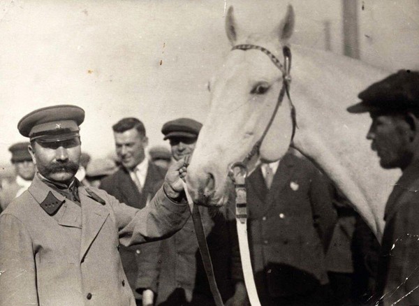 Тематическая встреча «Буденный и коневодство.»