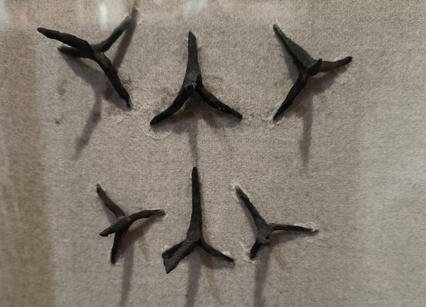 Тематическая беседа «Чеснок средство против конницы»