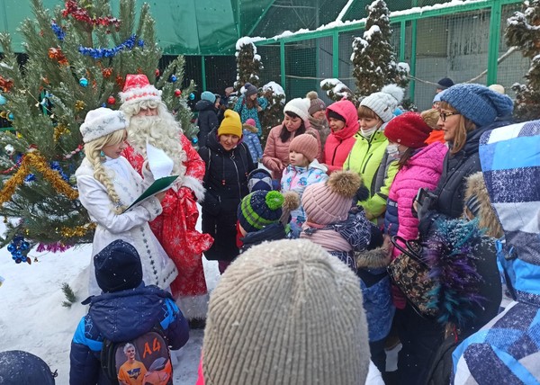 «Новый год в зоопарке»